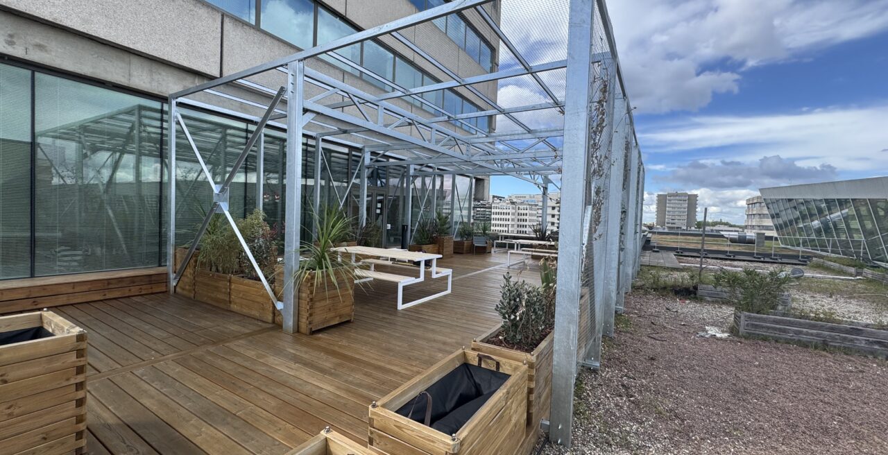 pergola